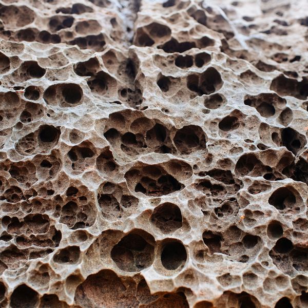 Naturheilkunde in der Praxis München und Ingolstadt